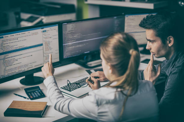 Custom software development